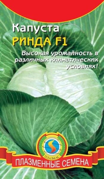 Капуста ринда описание сорта фото отзывы Капуста Плазмас Семена Плазмас "Капуста белокочанная. Ринда F1" - купить по выго