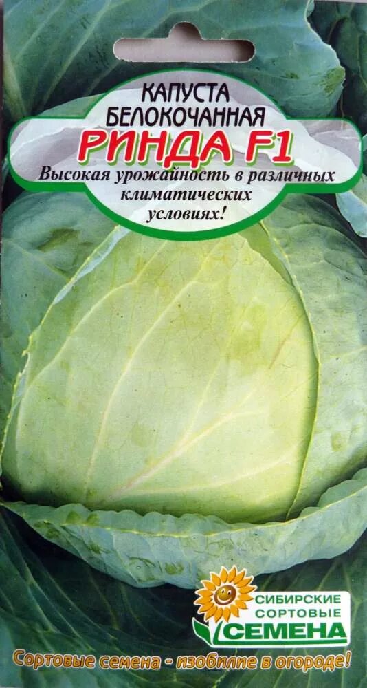 Капуста ринда описание сорта фото отзывы Капуста бк Ринда F1 (Голландия), 10сем Б/П в Томске - купить по лучшей цене 45 р