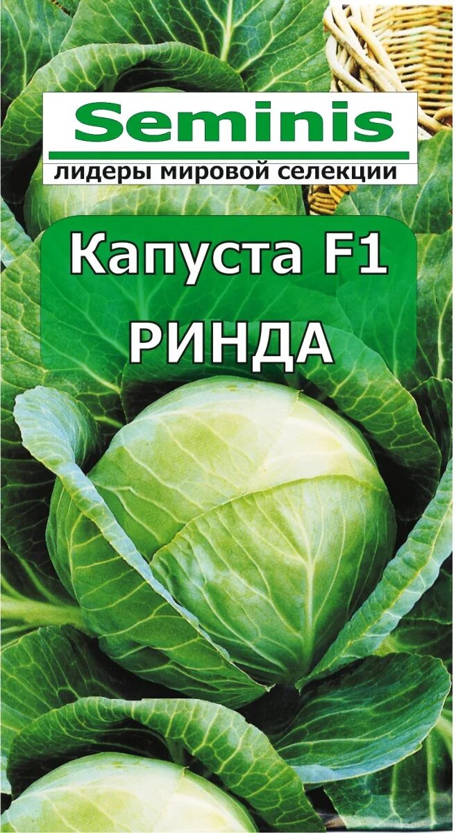 Капуста ринда описание сорта фото отзывы Капуста Ринда F1 - купить в Саратове по низкой цене в интернет-магазине Мир семя