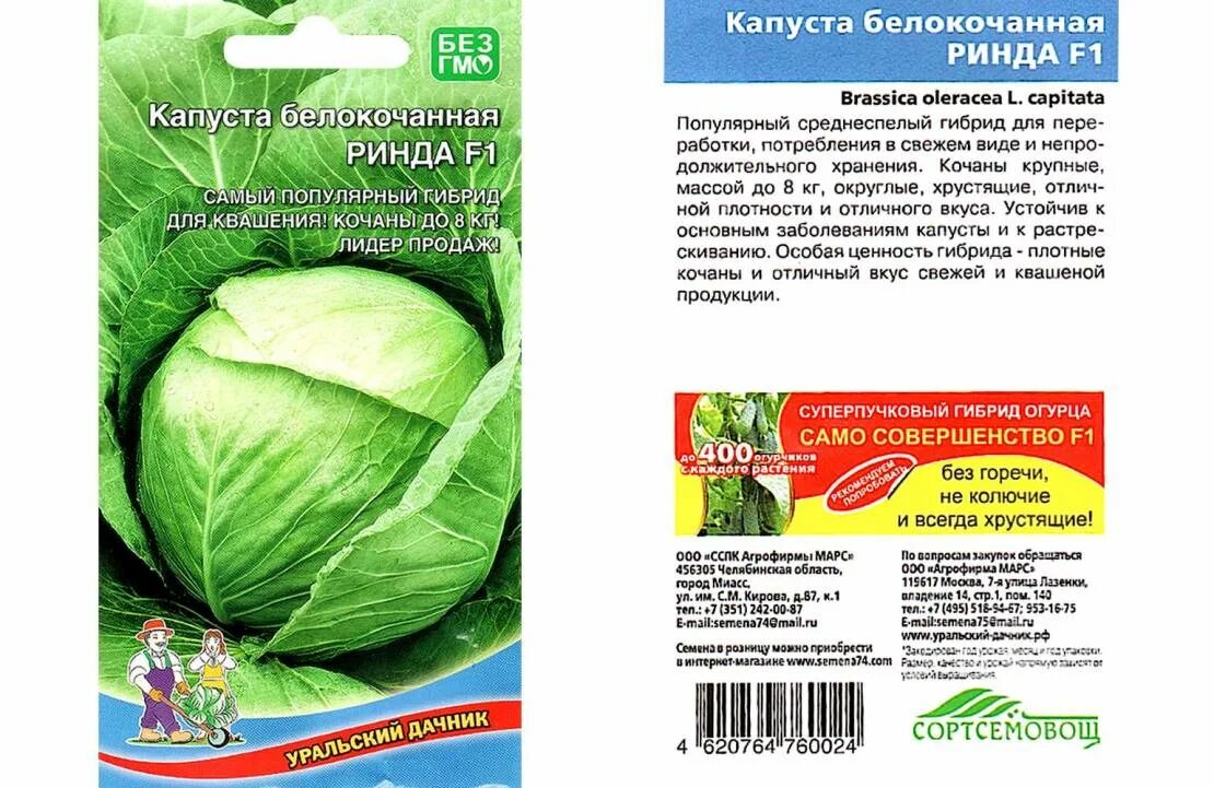 Капуста ринда описание сорта фото отзывы Ринда капуста описание фото