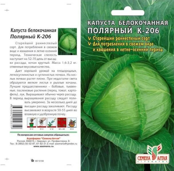 Капуста ринда описание сорта фото отзывы Капуста Полярный № 1 К-206/Семена Алтая/цп 0,3 гр. кабачок, капуста, лук. Семена
