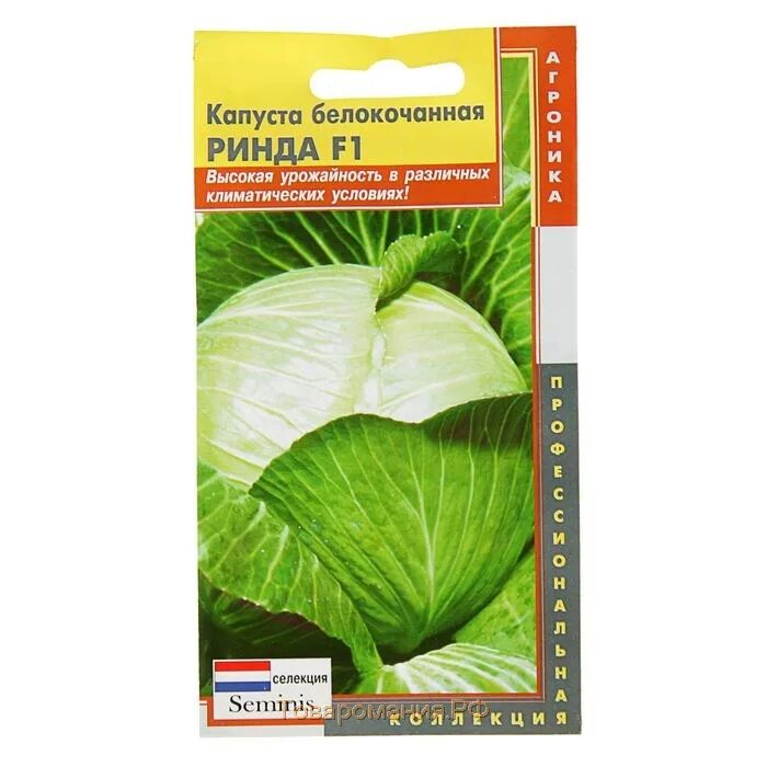 Капуста ринда описание сорта фото отзывы Семена Капуста б/к "Ринда", 10 шт 2229999 - Капуста, самая низкая цена, дешевле 