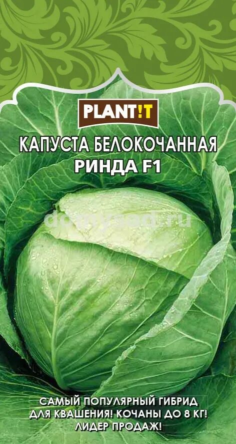 Капуста ринда отзывы фото кап.РИНДА б/к для квашения 0,1гр. F1 (PLANT!T) Ц / Капуста Ц / II Пакеты Цветные