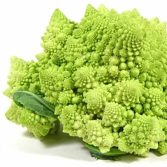 Капуста романеско фото Vijver en Tuincentrum Pelckmans: Brassica oleracea Botrytis-groep (romanesco blo