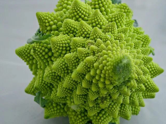 Капуста романеско фото Romanesco Broccoli Romanesco broccoli, Romanesco, Vegetables