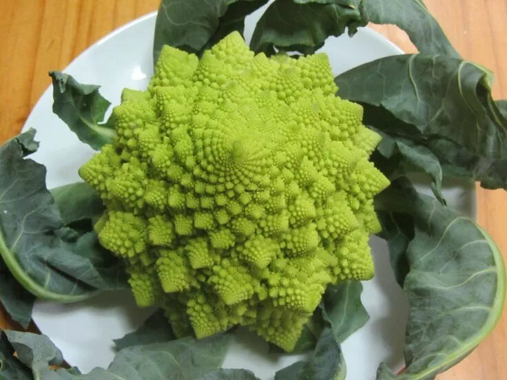 Капуста романеско фото Romanesco, Romanesco broccoli, Broccoli