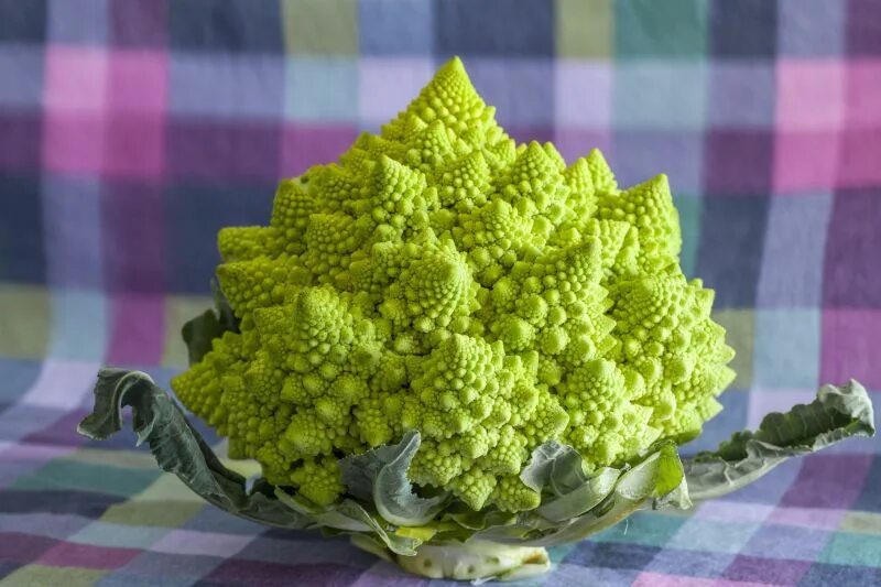 Капуста романеско фото и описание Kalafior romanesco - dlaczego warto go jeść? - Strona 2