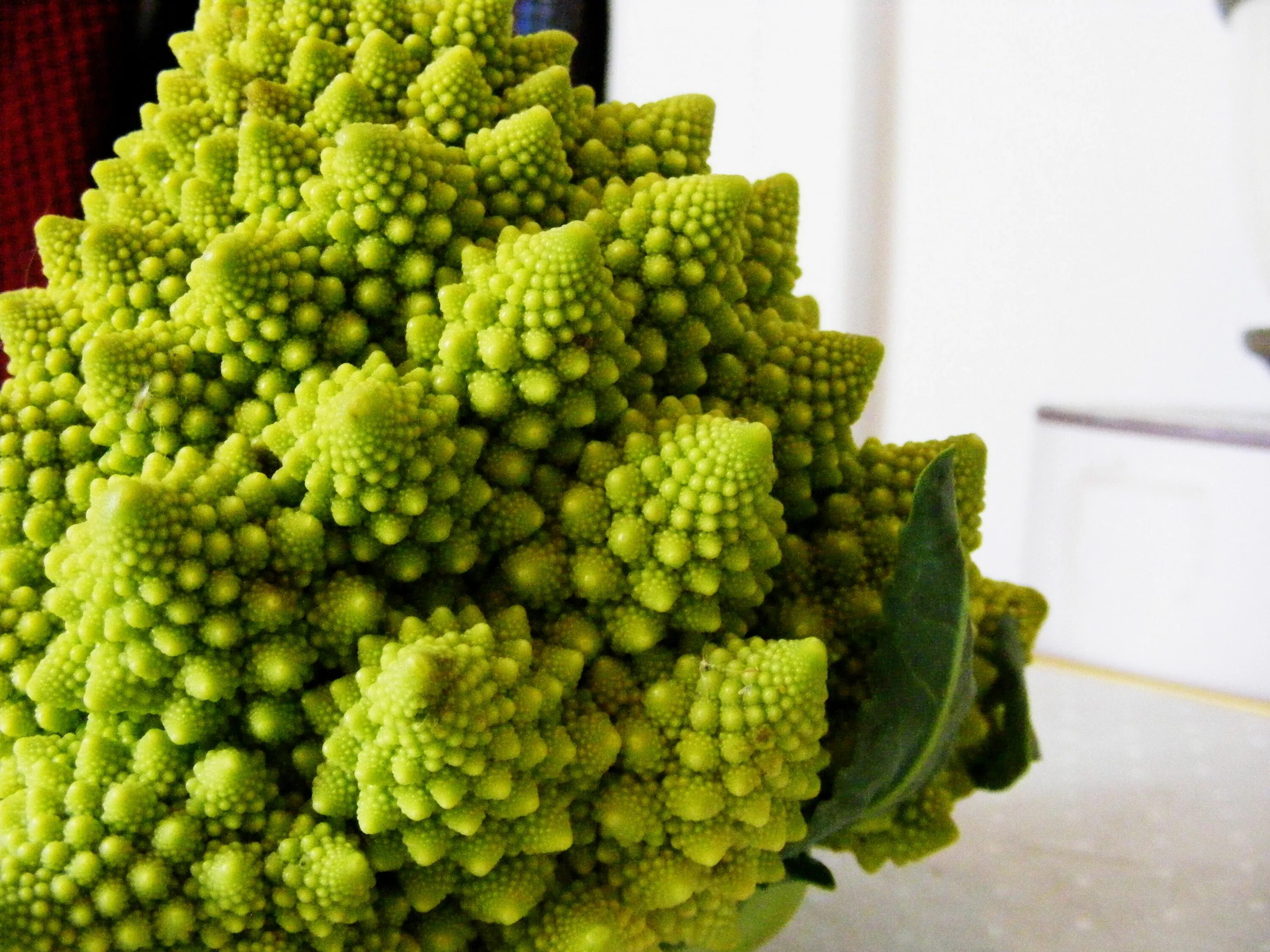 Капуста романеско фото и описание сорта How to Grow Romanesco Cauliflowers
