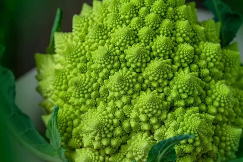 Капуста романеско фото и описание сорта Капуста романеско (Romanesco) - это разновидность капусты, которая характеризует