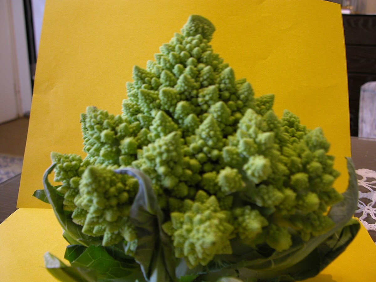 Капуста романеско фото рецепт коротко File:Broccoli DSCN4353.jpg - Wikimedia Commons