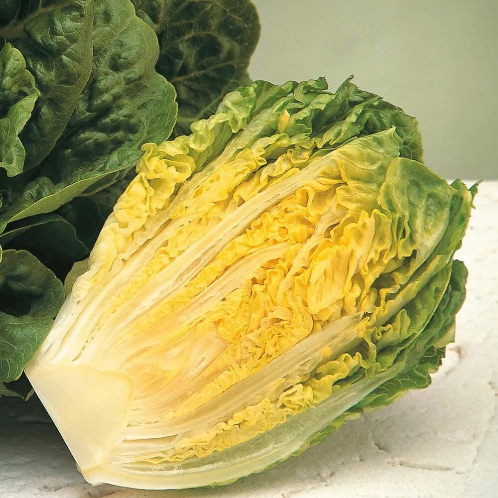 Капуста романо фото и описание Lettuce 'Winter Gem' (Cos) - Salad Seeds - Thompson & Morgan Vegetables, Vegetab