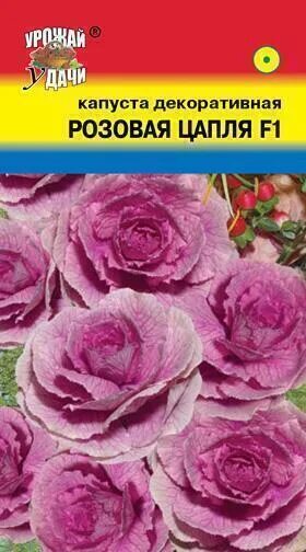 Капуста розовая цапля фото Посадочный Материал Капуста декоративная Розовая цапля - купить по цене от 84 ру