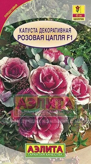 Капуста розовая цапля фото АЭлита Капуста декоративная - купить по выгодным ценам в интернет-магазине OZON 