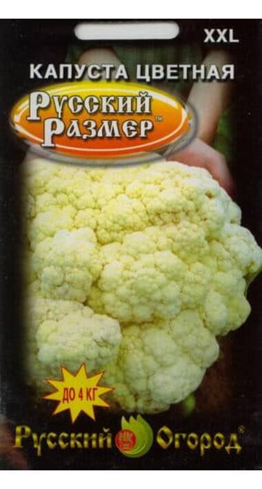 Капуста русский размер фото Магазины семян русский размер: найдено 88 картинок