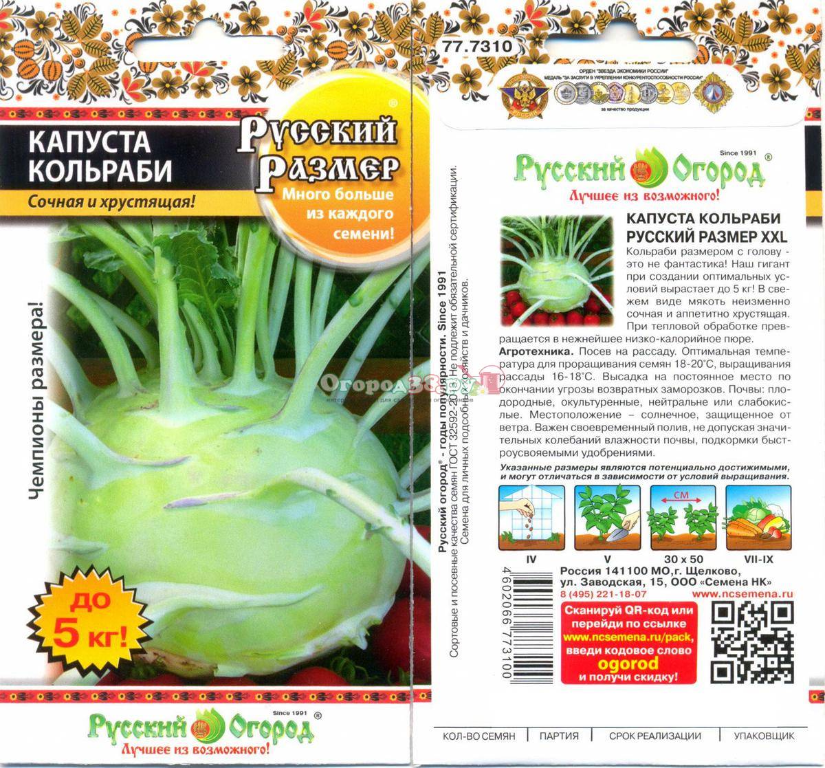 Капуста русский размер фото Капуста Русский Размер: описание сорта, отзывы