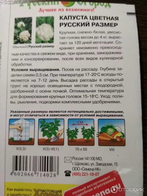 Капуста русский размер фото Отзыв о Семена цветной капусты Русский огород "Русский размер" лучше еще не было