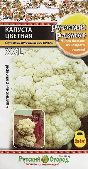 Капуста русский размер фото Купить Семена Капуста цветная Русский размер от Русский огород, 1744