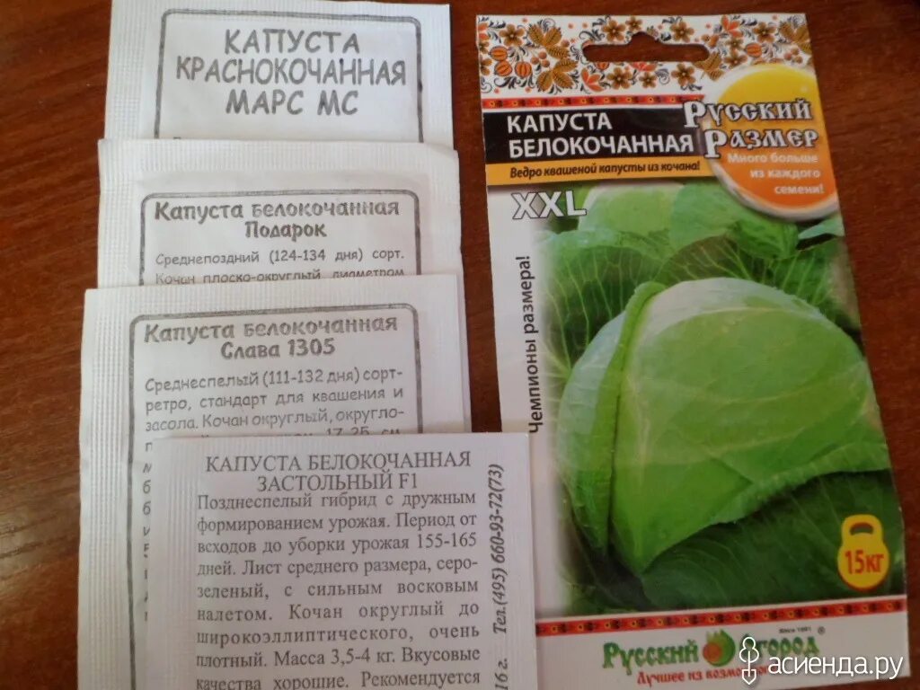 Капуста русский размер фото Я конечно опоздун, но все таки хочу показать семена, которые выписывала на сезон