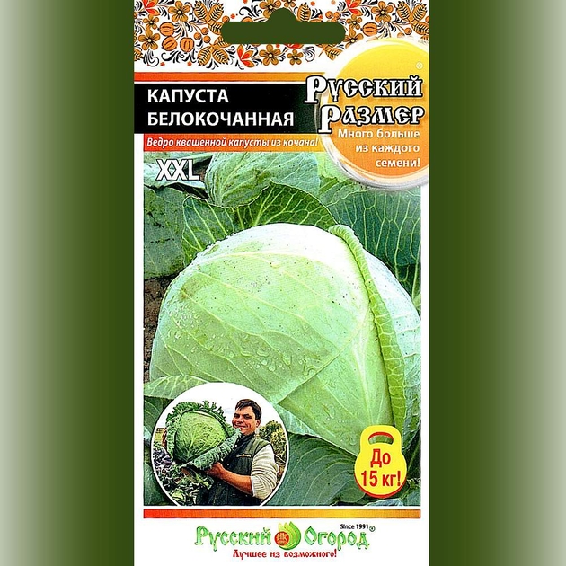Капуста русский размер фото Капуста русский размер - MosRosa.ru