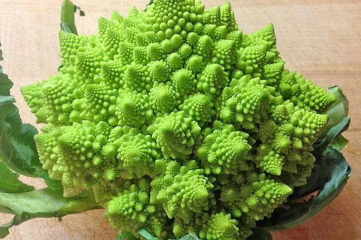 Капуста с шипами фото и названия Image result for romanesco Romanesco, Koken, Bloemkool