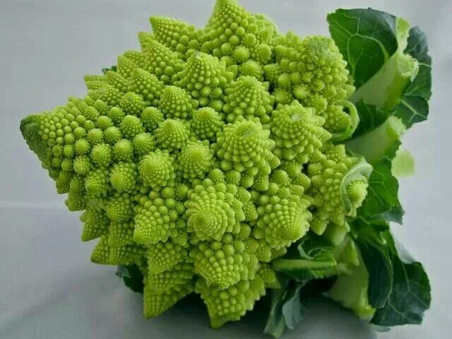 Капуста с шипами фото и названия Molding Romanico Broccoli Romanesco broccoli, Romanesco, Romanesco cauliflower