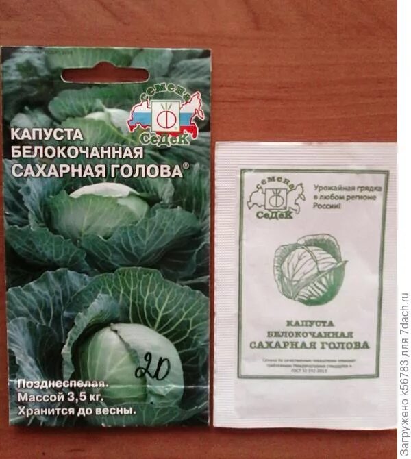 Капуста сахарная голова описание сорта фото Капуста 'Сахарная голова'. И самой нравится, и вам рекомендую!