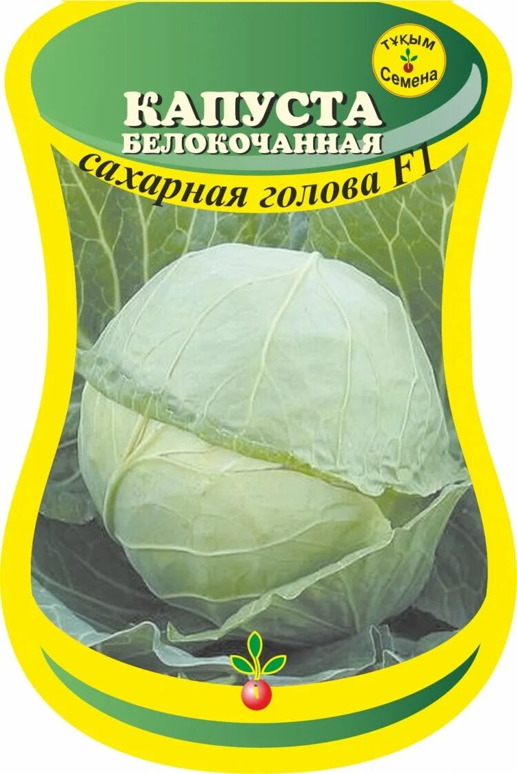 Капуста сахарная голова описание сорта фото отзывы Капуста б/к поздняя Сахарная голова (сем. агрофирмы Седек) 0,2 г.