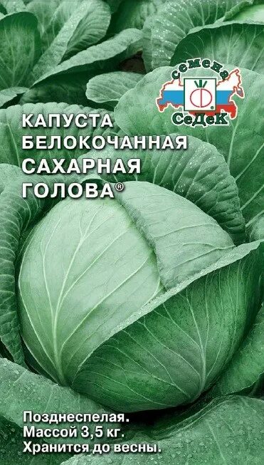 Капуста сахарная голова отзывы фото Капуста белокочанная Сахарная Голова купить в Москве