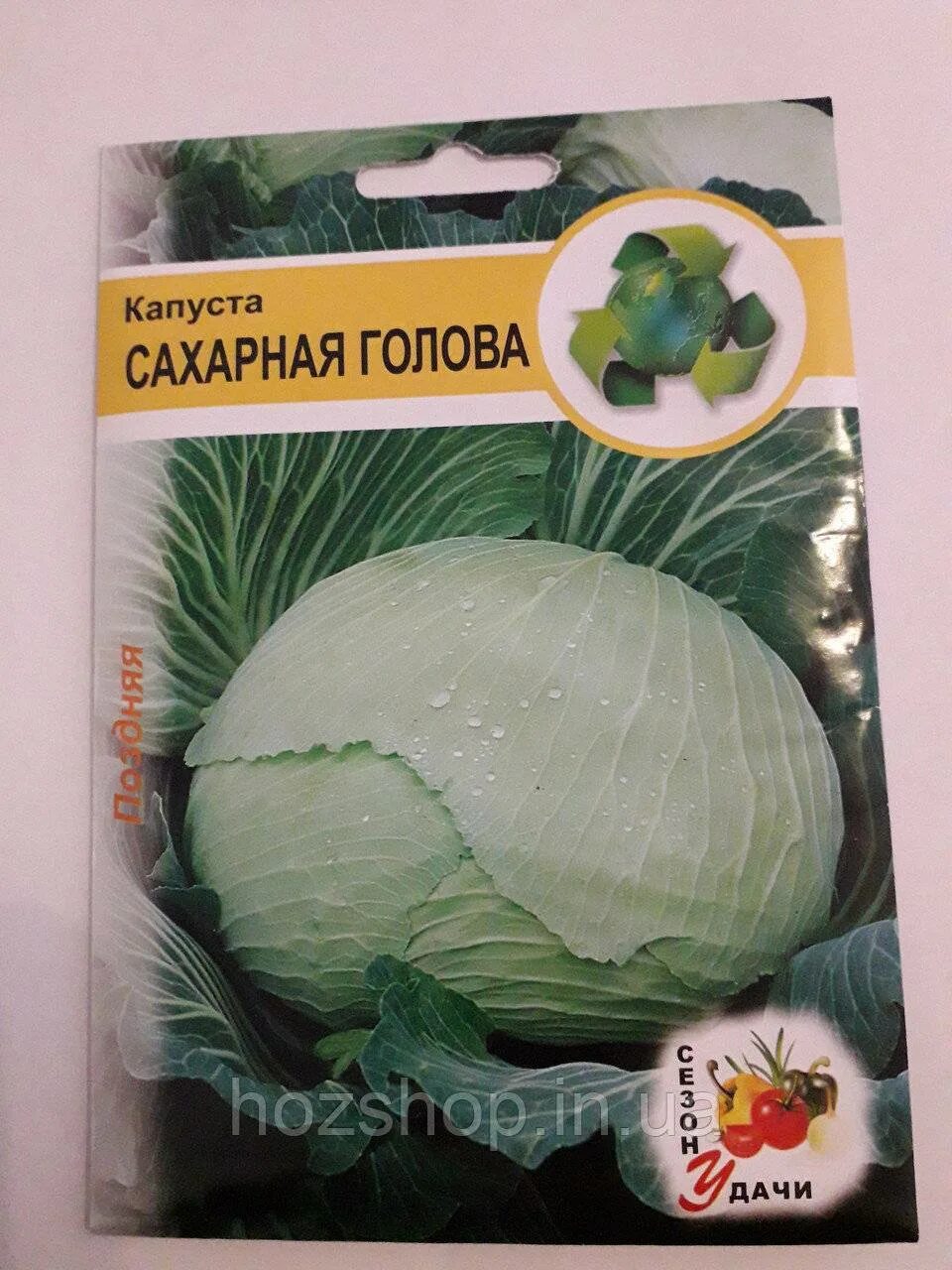 Капуста сахарная голова отзывы фото Капуста сахарная голова описание - найдено 86 фото