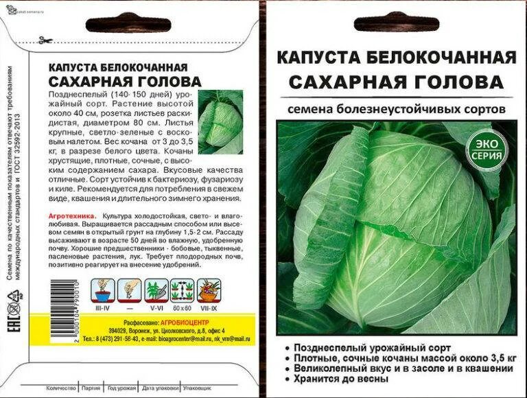 Капуста сахарная голова отзывы фото Хорошие сорта капусты отзывы: найдено 76 изображений