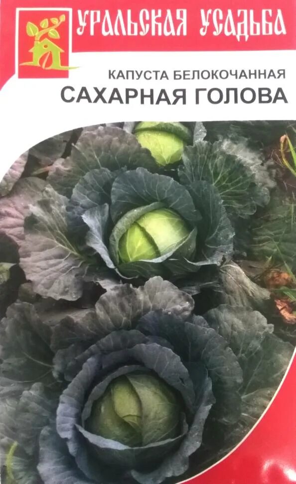 Капуста сахарная голова отзывы фото Капуста белокочанная Сахарная голова УД купить по цене от 15 руб в Орле