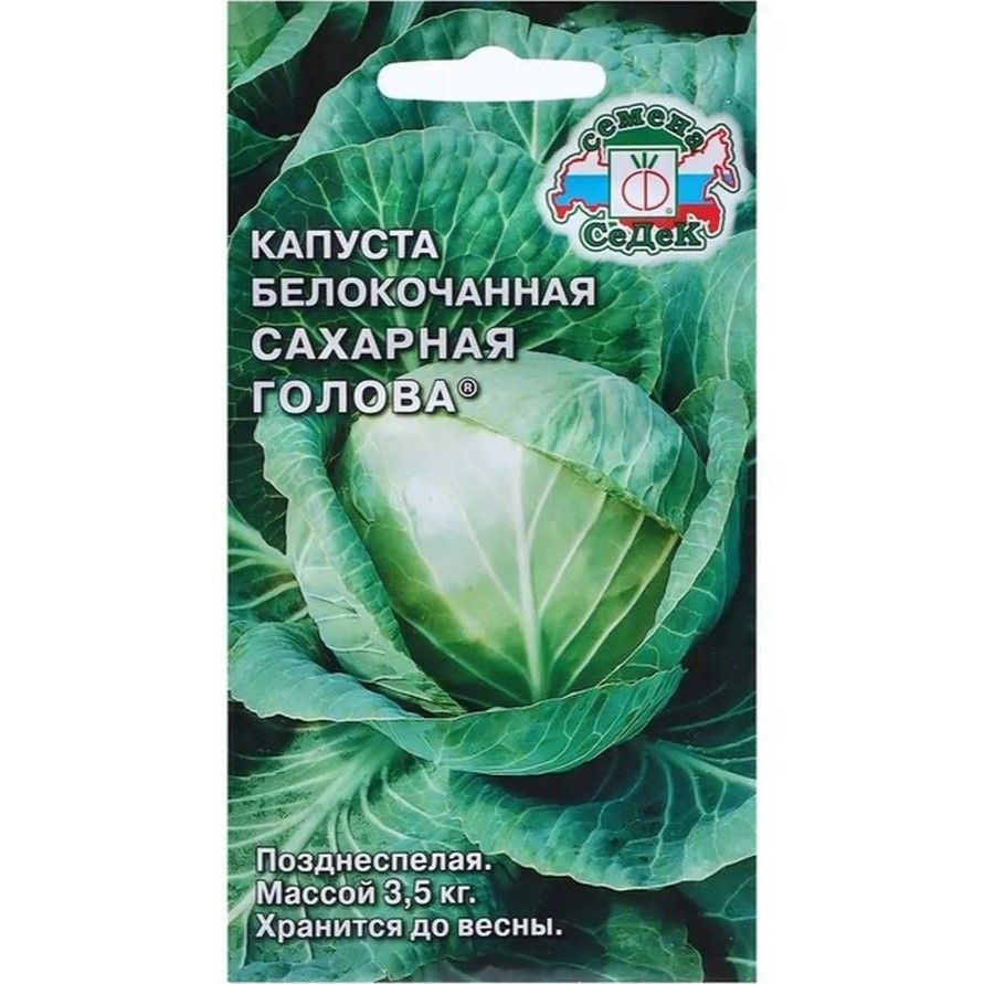 Капуста сахарная описание сорта фото Капуста Семена СеДек Капуста белокочанная Сахарная голова - купить по выгодным ц
