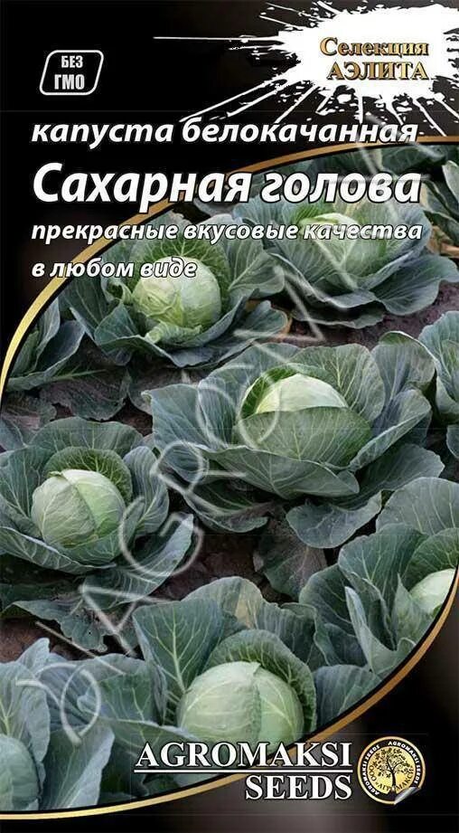Капуста сахарная описание сорта фото Капуста "Сахарная голова": описание сорта, фото, отзывы