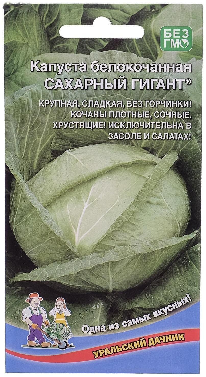 Капуста сахарная описание сорта фото Капуста, Декоративная капуста капусты 100 - купить по выгодным ценам в интернет-