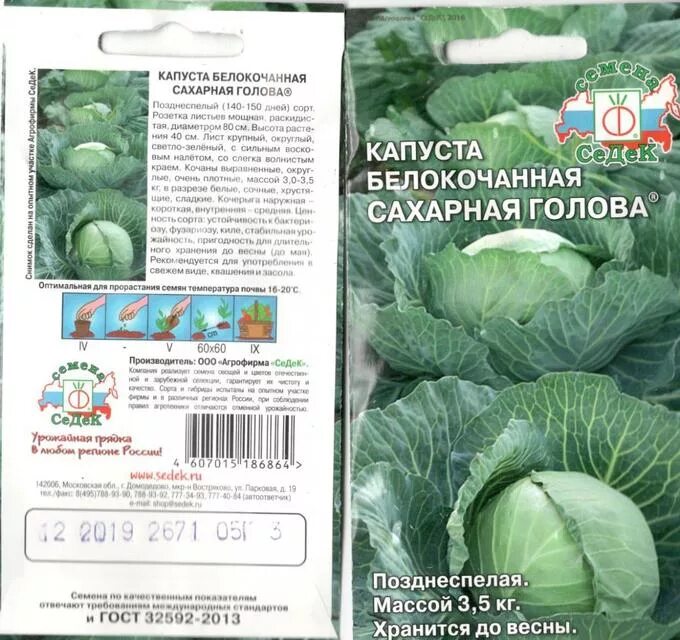 Капуста сахарная описание сорта фото отзывы Капуста Сахарная Голова б/к 0,5г. СЕДЕК Капуста. Семена овощей