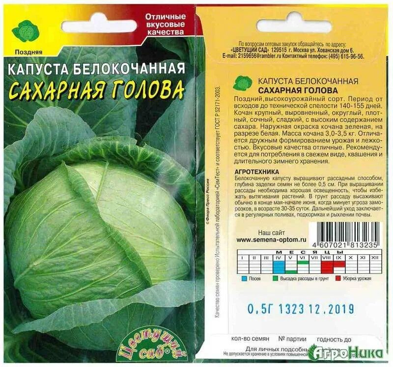 Капуста сахарная описание сорта фото отзывы Сахарная голова капуста описание отзывы Фитостудия-63.ру