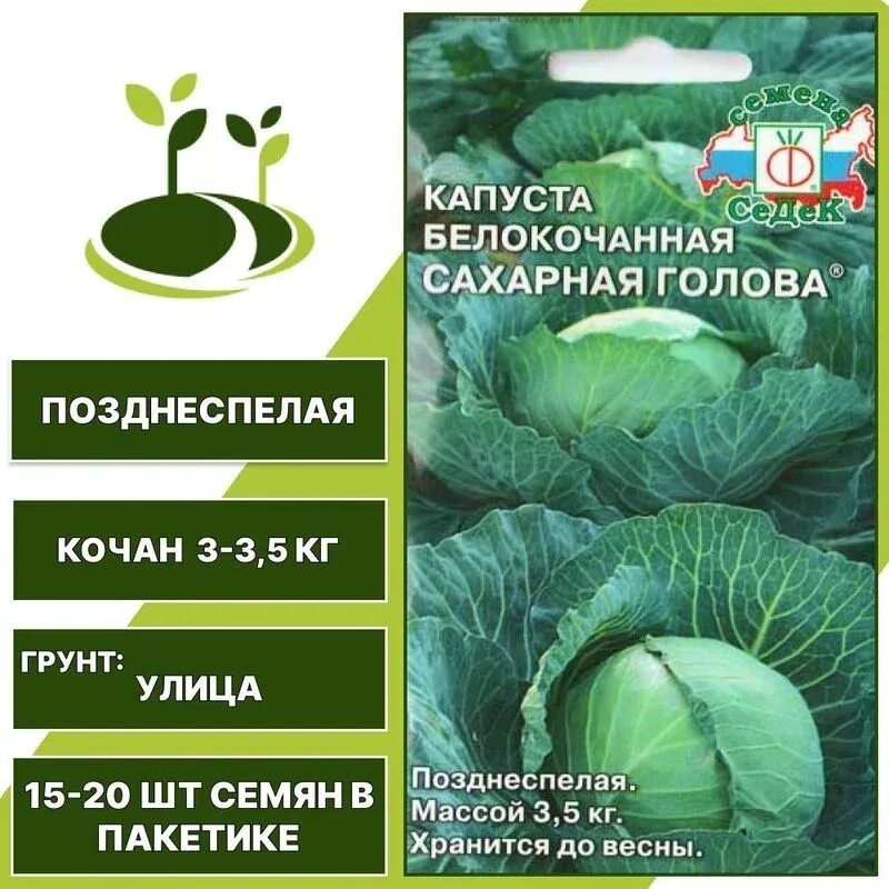 Капуста сахарная описание сорта фото отзывы Семена Капуста б/к Сахарная голова ® : описание сорта, фото - купить с доставкой