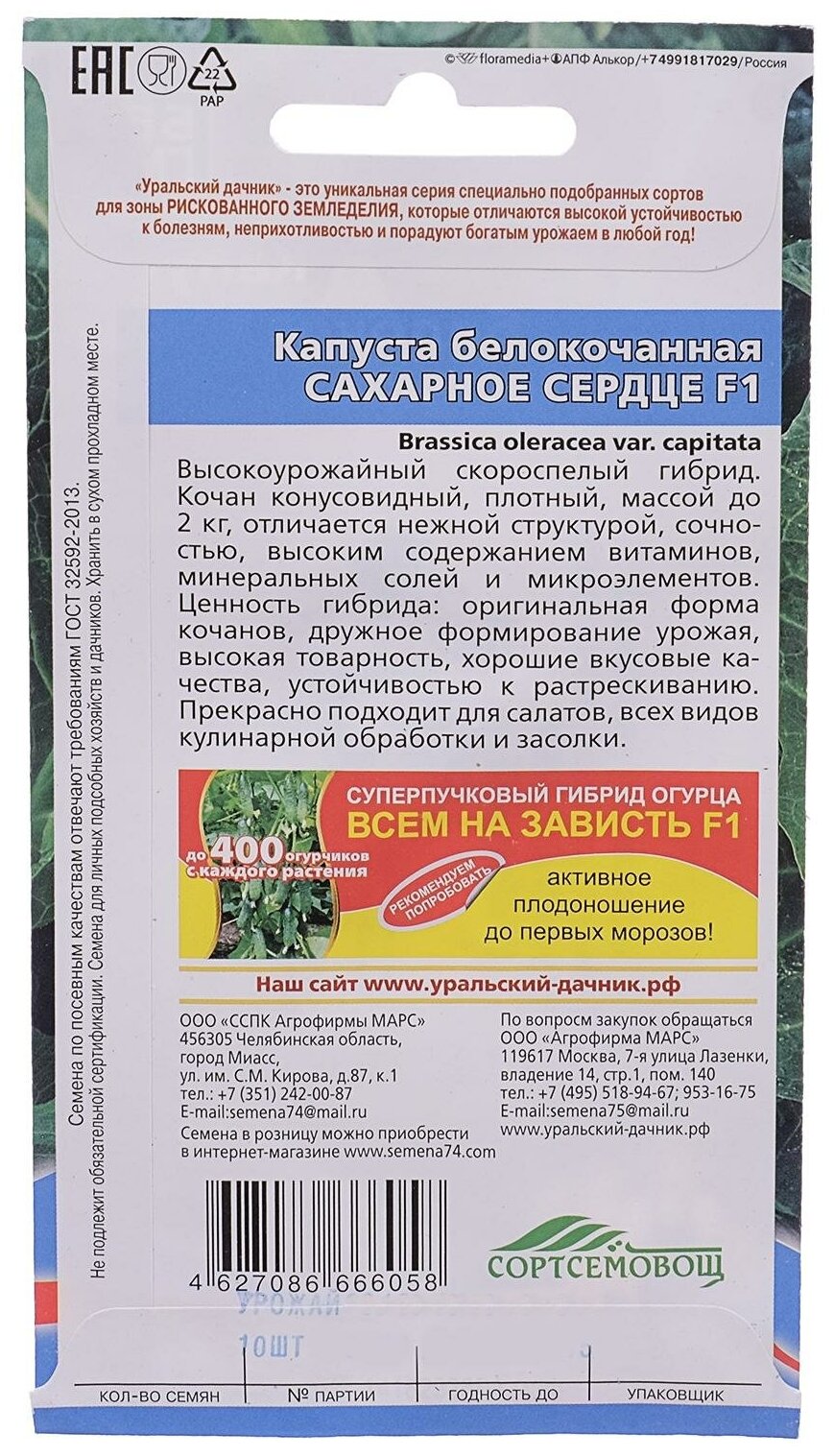 Капуста сахарное сердце фото Семена Капуста "Сахарное Сердце", F1, 10 шт - купить в интернет-магазине по низк