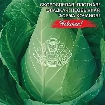 Капуста сахарное сердце фото Сахарное сердце капуста описание сорта: найдено 77 картинок