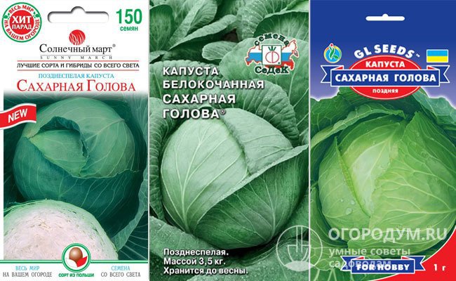 Капуста сахарный гигант описание сорта фото отзывы Капуста Сахарная голова: описание сорта, фото, отзывы садоводов