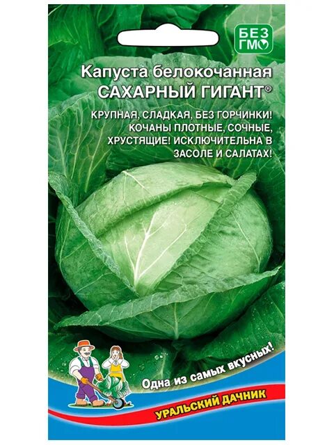 Капуста сахарный гигант описание сорта фото отзывы Семена Капуста белокочанная Сахарный гигант Уральский Дачник
