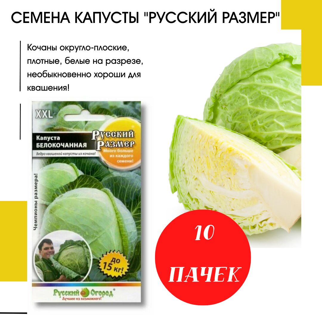 Капуста сахарный гигант описание сорта фото отзывы Капуста сахарная королева описание сорта фото отзывы фото