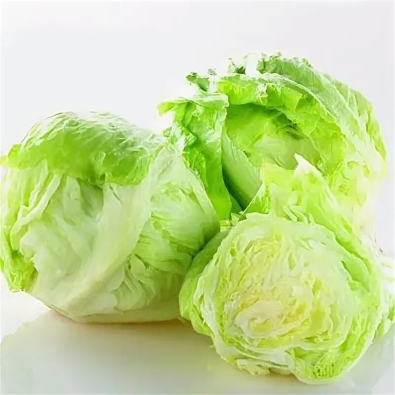 Капуста салат айсберг фото Quality Fresh Iceberg Lettuce For Sale - Buy Preserved Vegetable Lettuce Preserv