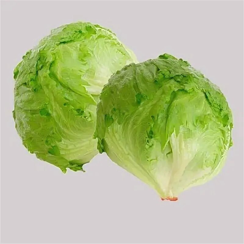 Капуста салат айсберг фото Iceberg Lettuce - Iceberg Lettuce Banquet Records