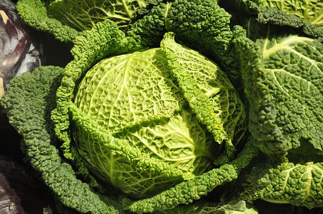 Капуста савойская фото выращивание ECOM Akademie Obst und gemüse, Gemüse pflanzen, Früchte und gemüse