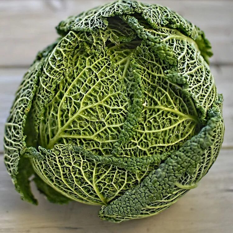 Капуста савойская описание сорта фото Details about Cabbage Seeds - CHIEFTAIN SAVOY - Crinkled Leaves, Large Heads - 5