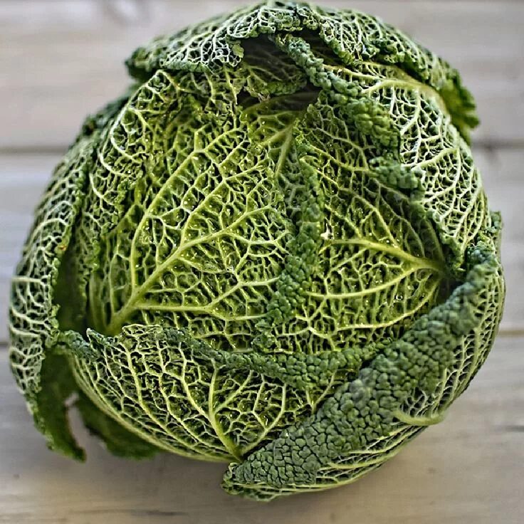 Капуста савойская рецепты приготовления с фото Cabbage Seeds - Savoy Vegetable Seeds in Packets & Bulk Eden Brothers Cabbage se
