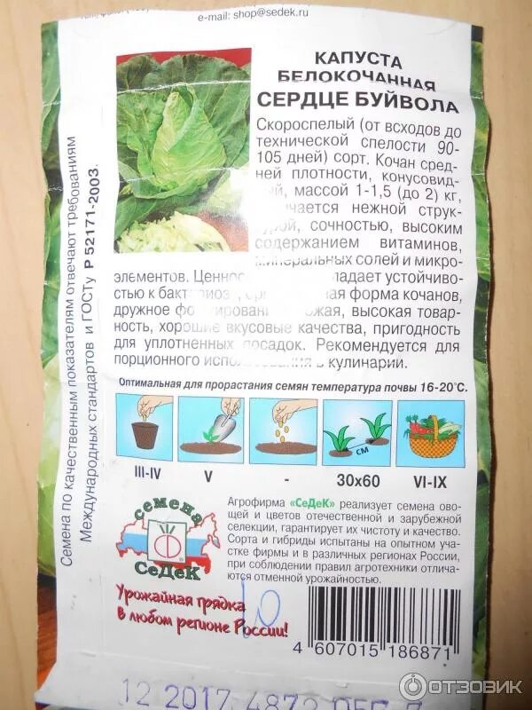 Капуста сердце буйвола описание сорта фото отзывы Отзыв о Семена капусты Седек "Сердце буйвола" Вкусная нежная капуста