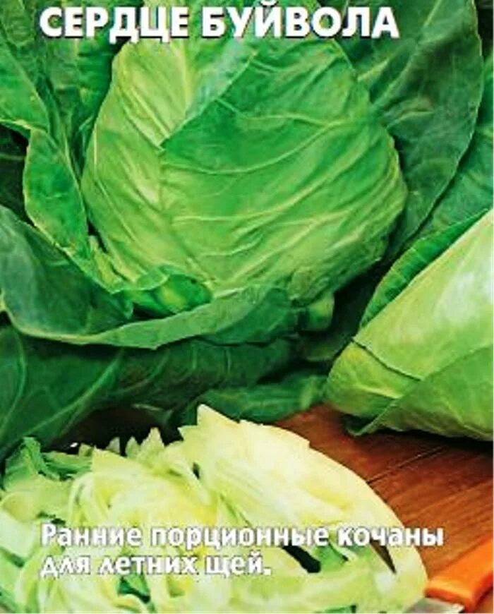 Капуста сердце буйвола описание сорта фото отзывы Семена Капуста б/к Сердце Буйвола: описание сорта, фото - купить с доставкой или