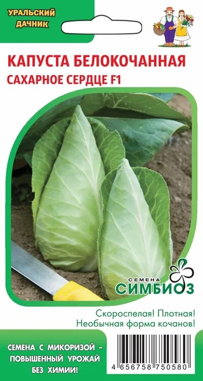 Капуста сердце буйвола описание сорта фото отзывы Купить семена Капуста Сахарное Сердце F1,Симб./Ур.Дачник/ 0,2г в Новосибирске - 
